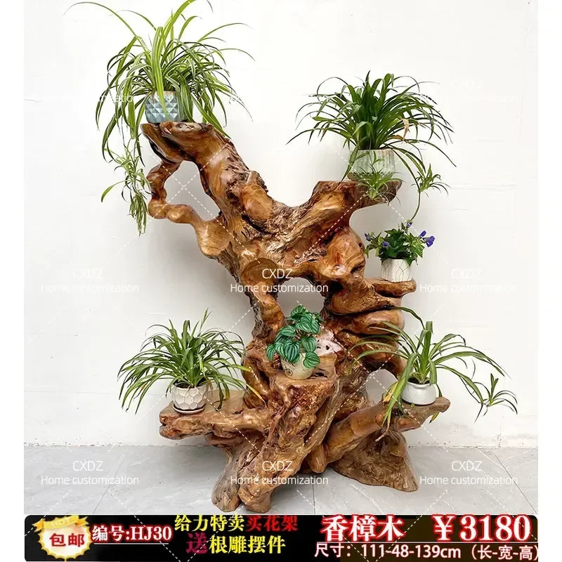 Natural Camphor Wood Root Carving Display Stand – Solid Wood Bonsai & Art Pedestal