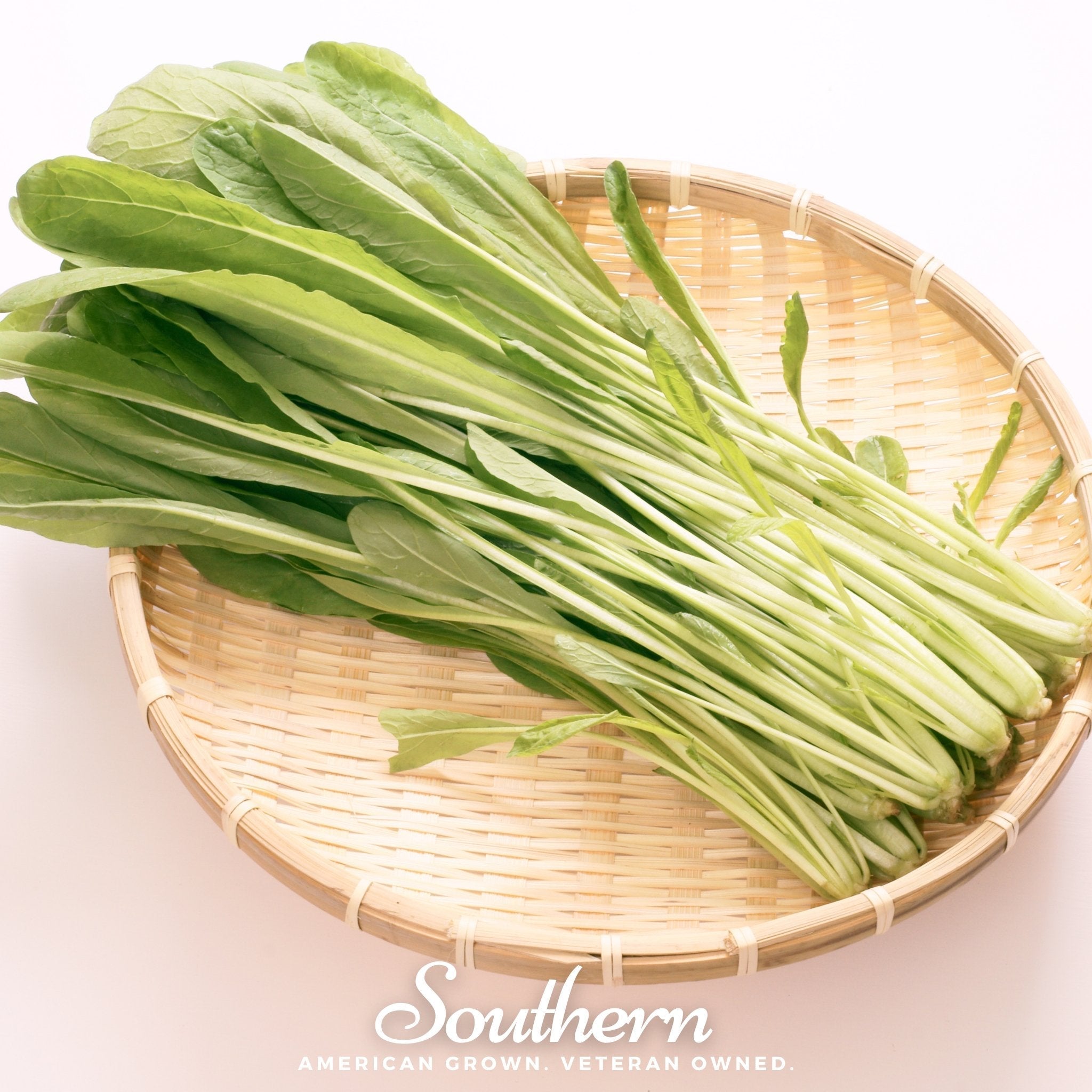 Mibuna Chinese Cabbage – 100 Seeds