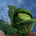 Savoy Cabbage Seeds – Heirloom, Open Pollinated, Cold-Hardy, 100 Seeds Brassica oleracea