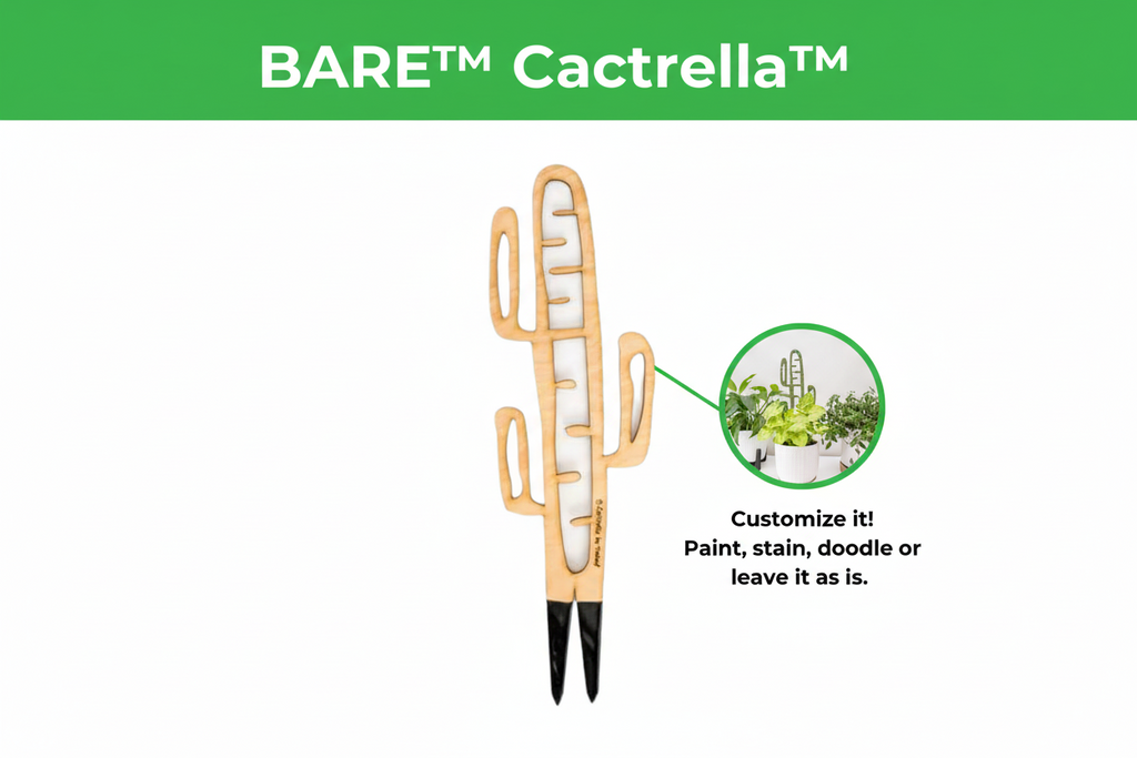 BARE™ Cactrella™ - Customizable wooden plant support - Inspired by the Barrel Cactus