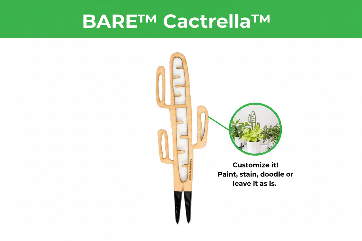 BARE™ Cactrella™ - Customizable wooden plant support - Inspired by the Barrel Cactus