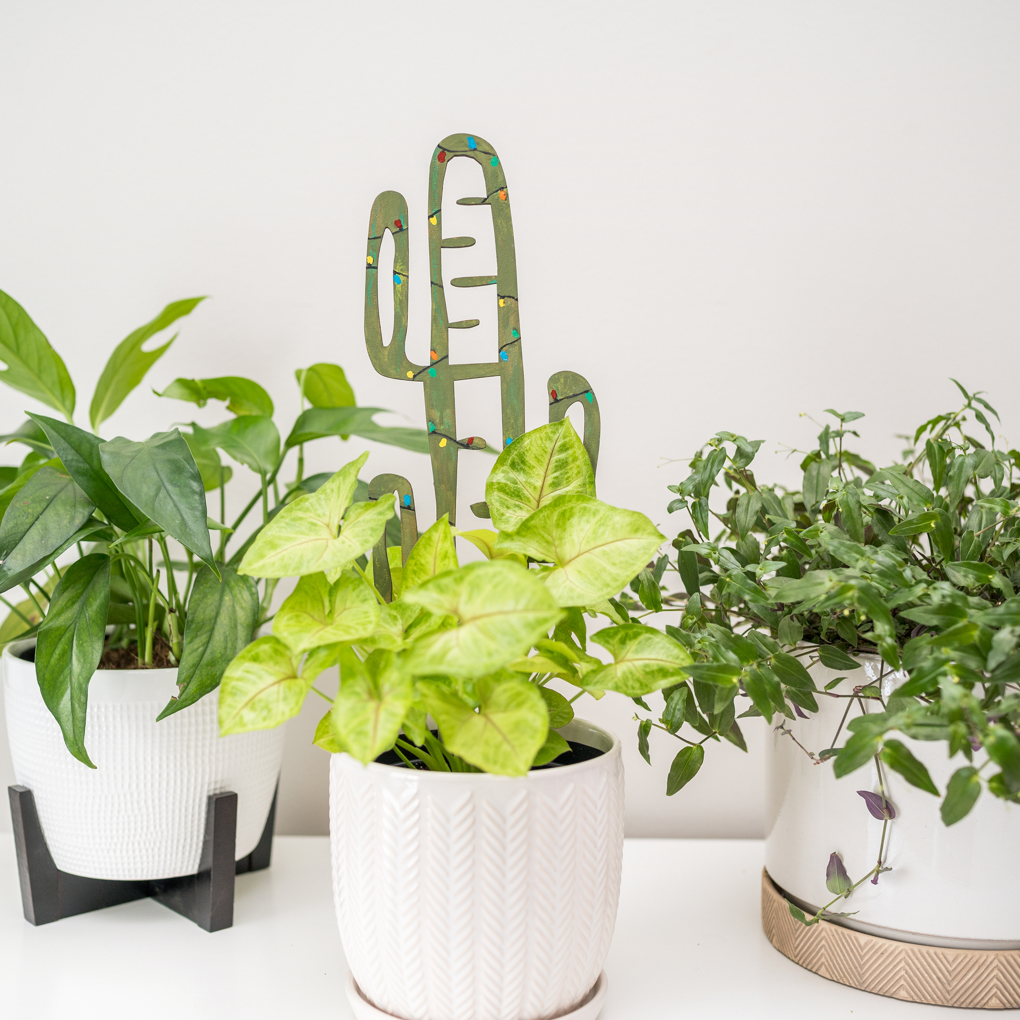 BARE™ Cactrella™ - Customizable wooden plant support - Inspired by the Barrel Cactus