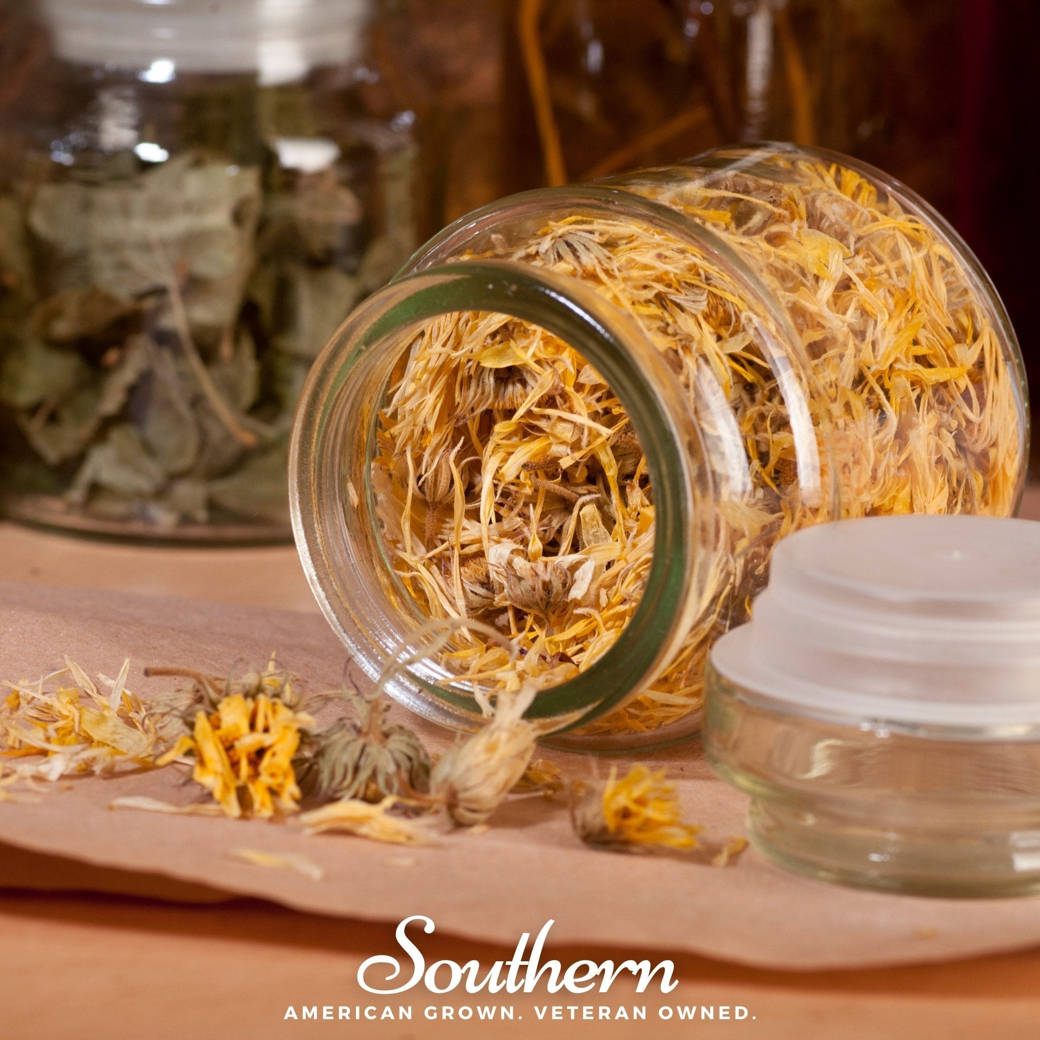 Fiesta Gitana Calendula – 100 Seeds