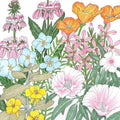California Coastal Range Wildflower Mix (1/4 lb)