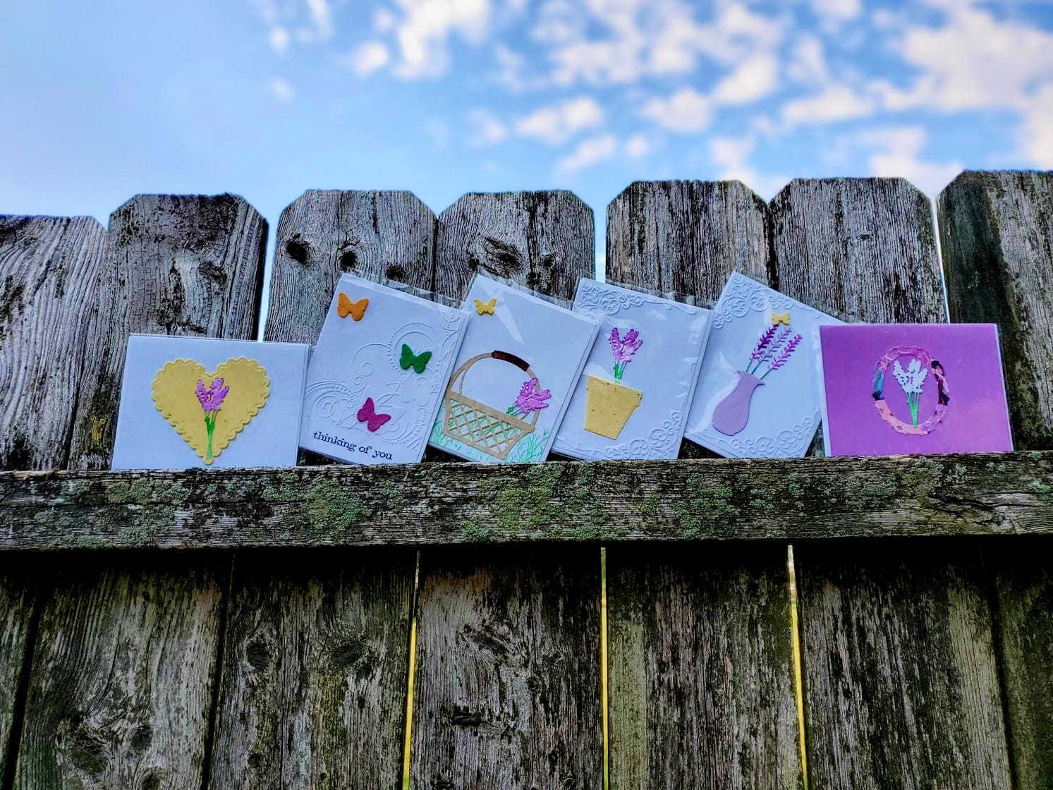 Plantable greeting cards