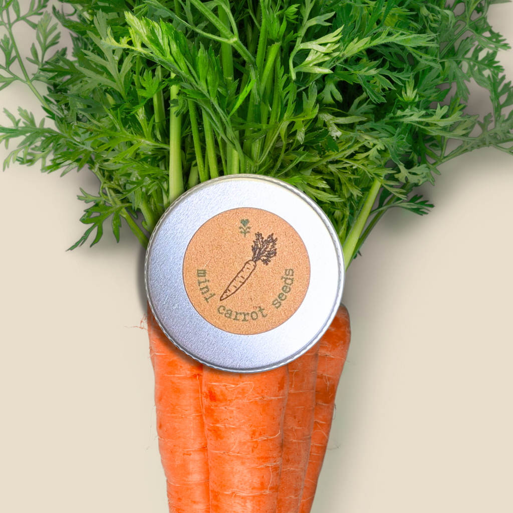 Organic Carrot "Little Fingers" Seeds