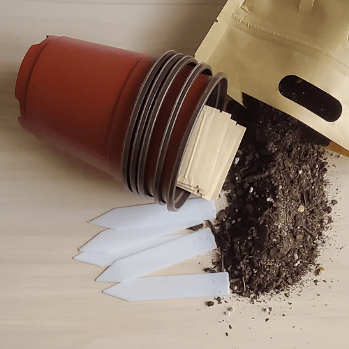Grow Your Own Stir Fry Kit