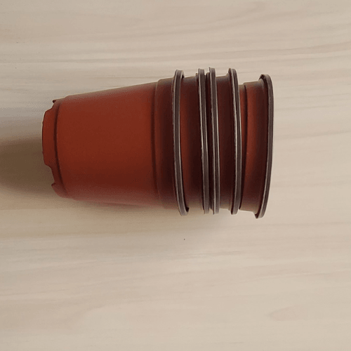 Grow Your Own Stir Fry Kit