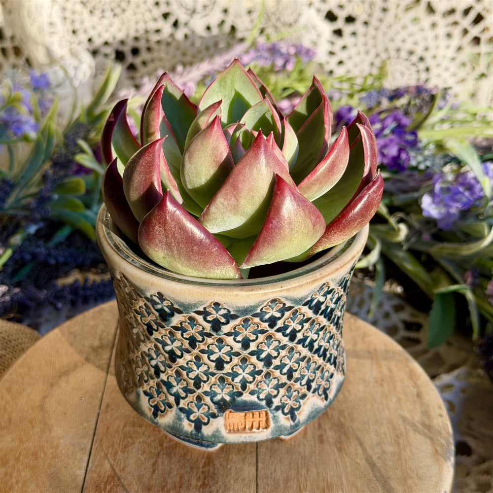 WS-0054 Artisan Handcrafted Pottery Planter Pot - Pot rim diameter: 3"