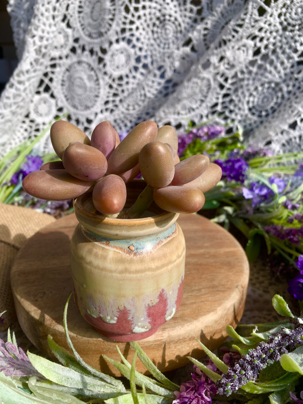 SC-SN0002 Handmade Artisan Pottery Planter Pot - Pot rim diameter: 1.8"