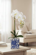 22" Cream Phalaenopsis Orchid Plant in Ceramic Vase