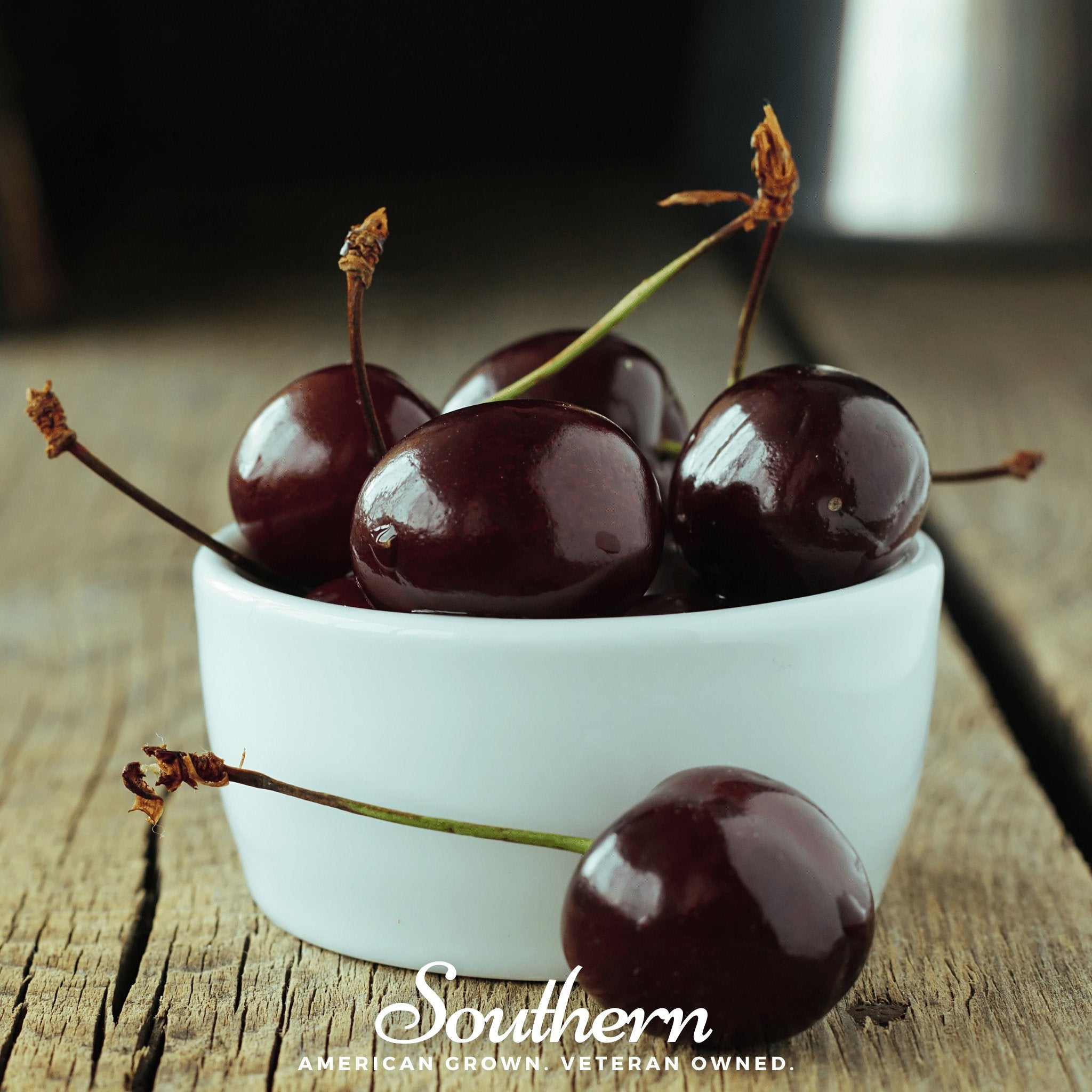 Black Cherry – 15 Seeds