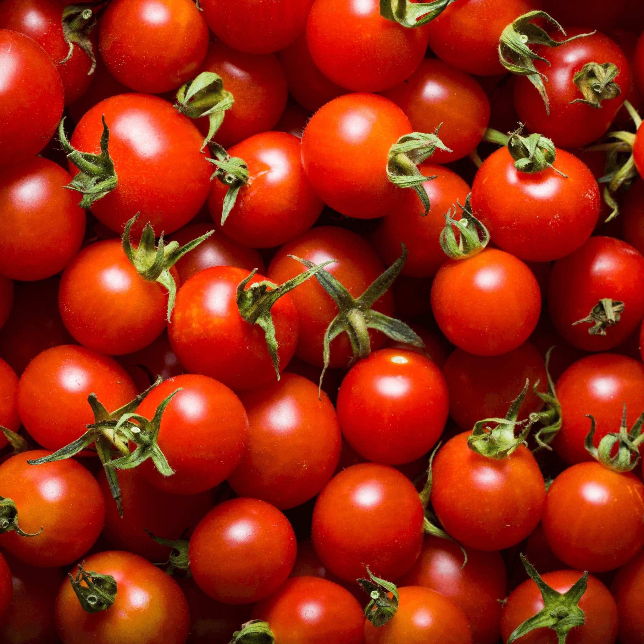Cherry Tomato Seeds