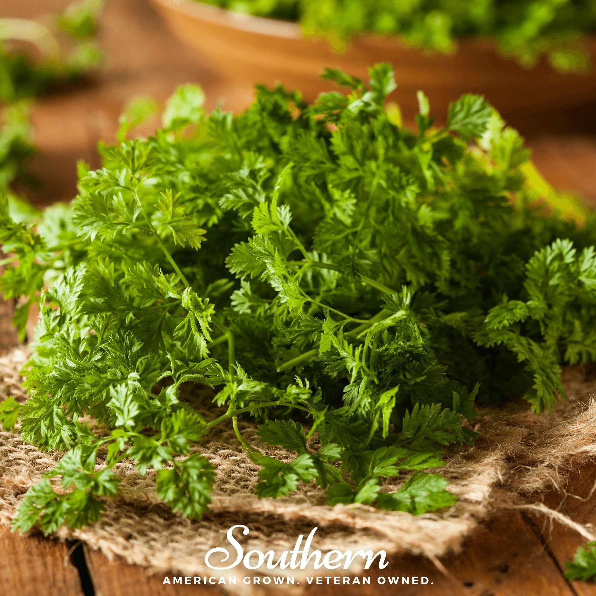 Curled Chervil – 200 Seeds