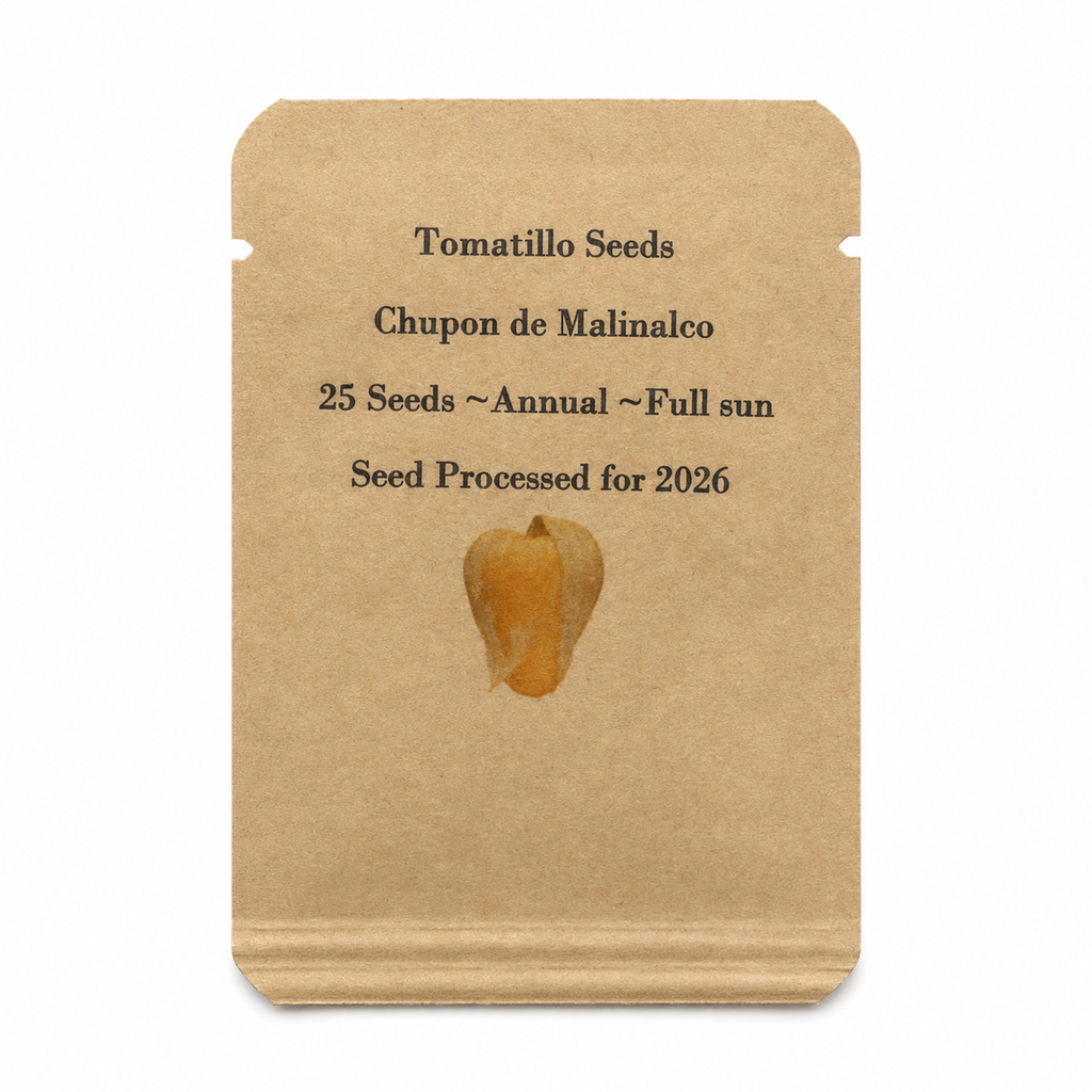Chupon de Malinalco Tomatillo Seeds – 25 Seeds, Heirloom Mexican Variety, Salsa & Fresh Eating