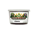 Cilantro Grow Kit | Grow Fresh Cilantro from Seed | Seeds In A Cup®