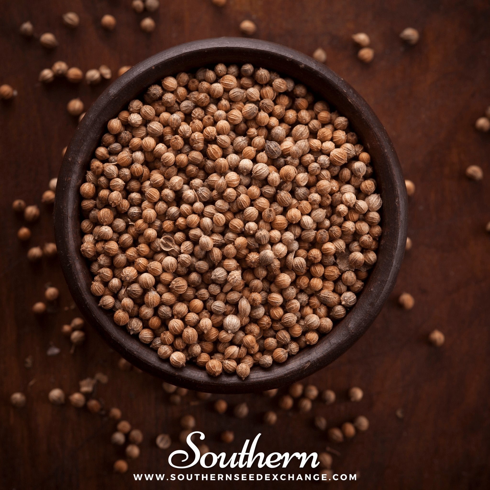 Santo Cilantro – 100 Seeds