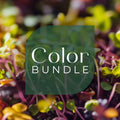 Color Bundle - 9 Tray Pack