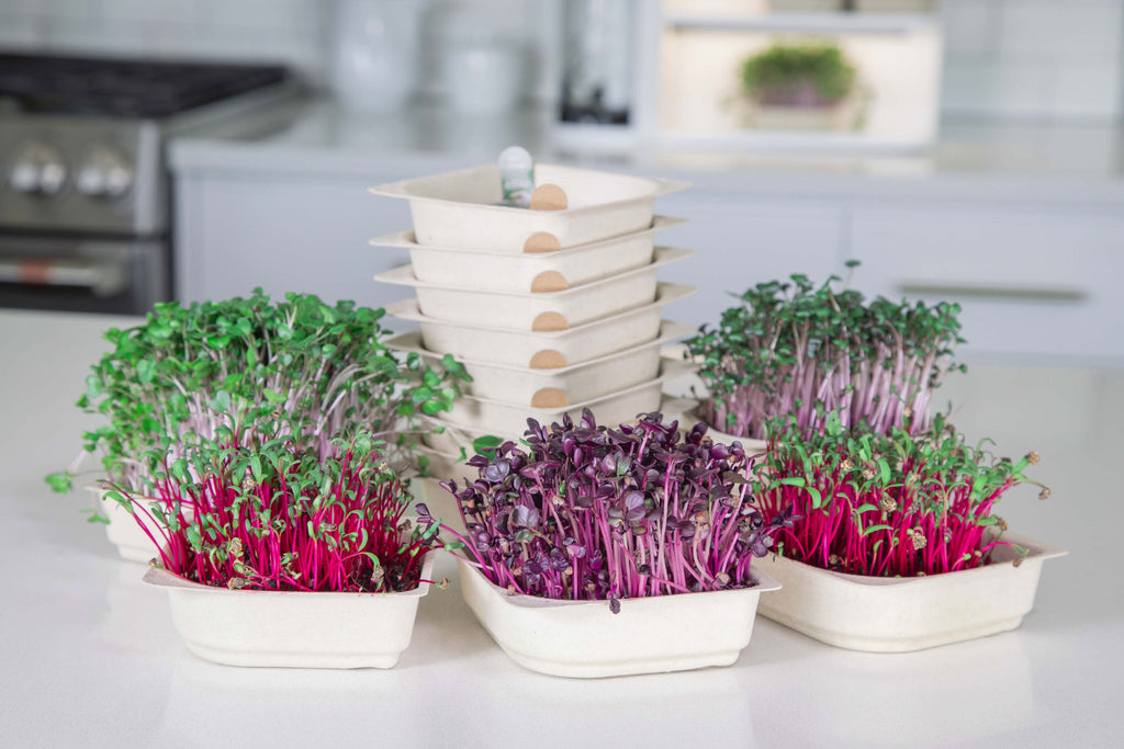 Color Bundle - 9 Tray Pack