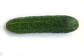100 Straight 8 Cucumber Seeds