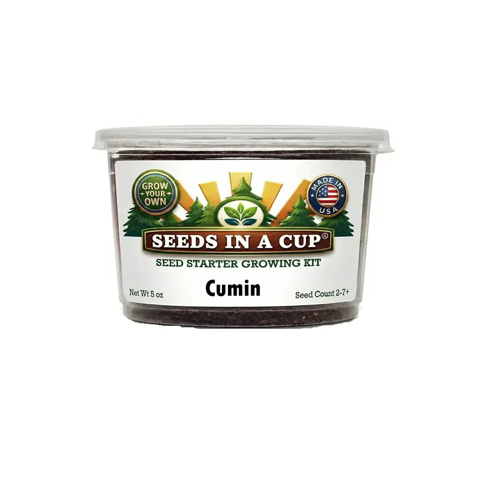 Cumin Grow Kit | Grow Fresh Cumin from Seed | Seeds In A Cup®