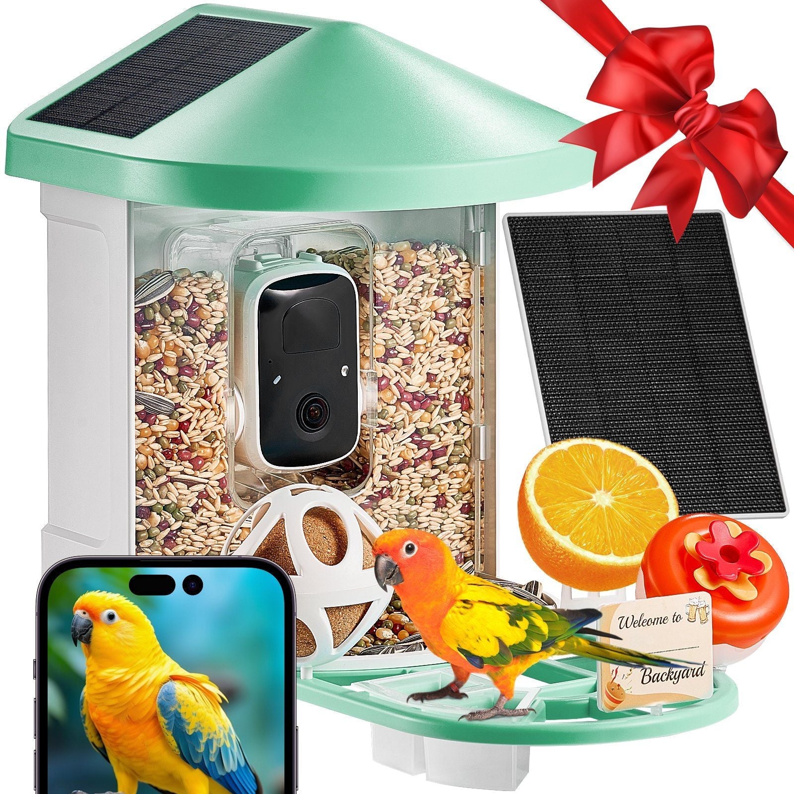 Smart Bird Feeder with Camera AI Identify 10000+ Bird Specie Solar-Powered