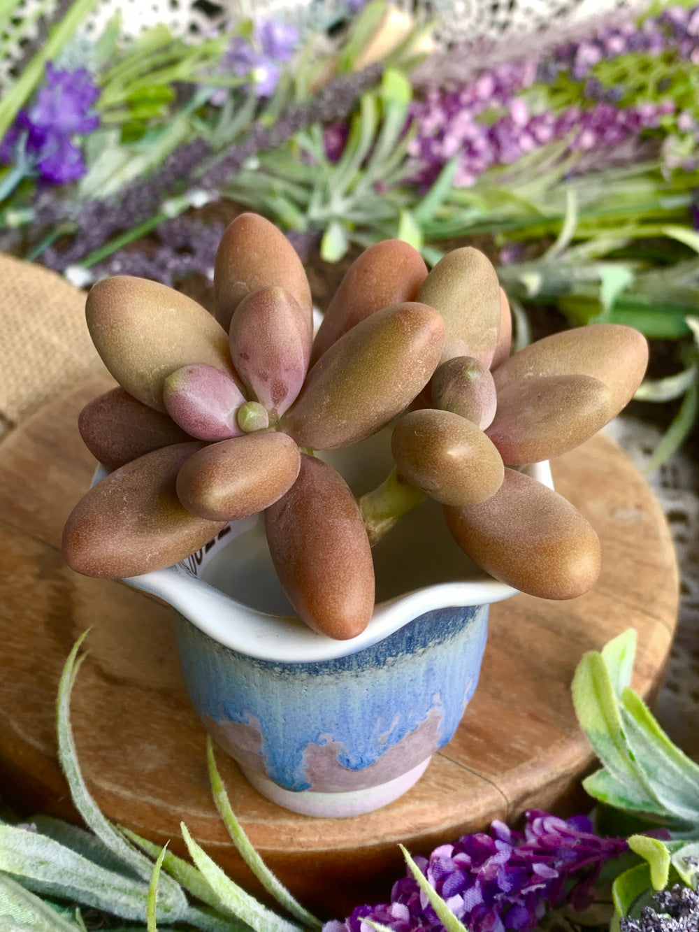 SC-0022 Modern Handmade Ceramic Planter Pot - Pot Rim Diameter: 2.1"