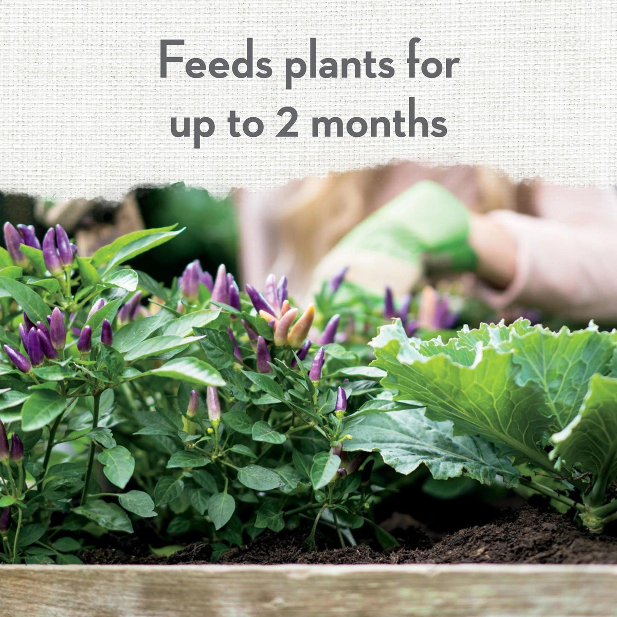 Organic Potting Soil for Container Gardens, 8 Dry Qt.