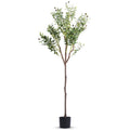 5.9FT Artificial Olive Tree Tall Fake Olive Plant Faux Potted Olive Tree with Lush Olive Branches and FruitsÊwith Black Planter Pot for Modern Home Of
