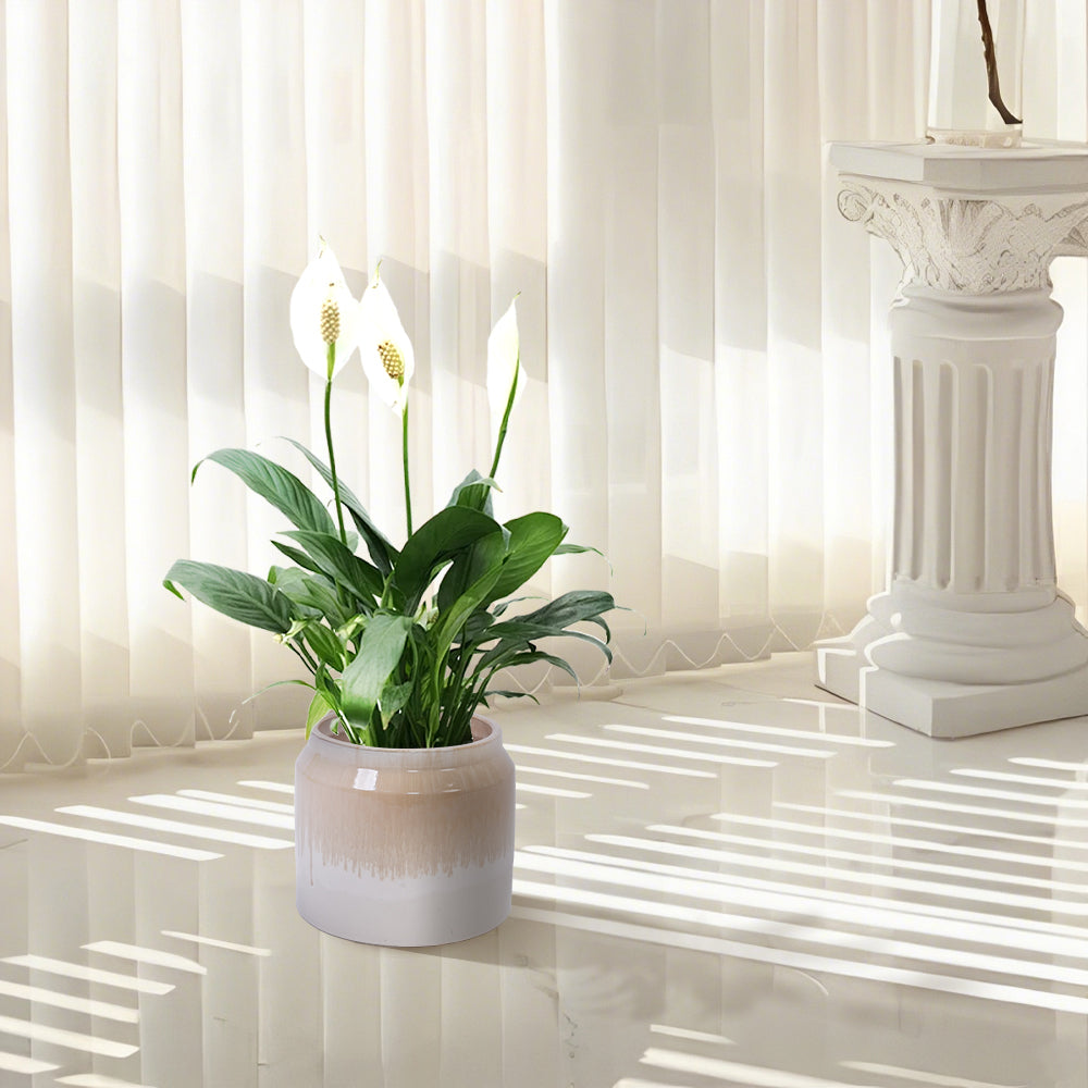 Set of 2 Gradient Ceramic Flowerpot, Modern Planter for Patio, Garden, Windowsill - White Brown