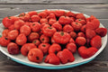 Tomato VR Moscow Seeds – Heirloom Red Tomato, Slicing & Fresh Use, Compact Plant, Solanum lycopersicum, 100mg