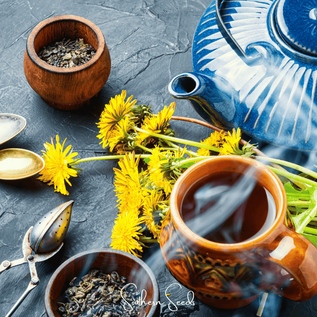 True Dandelion – 50 Seeds