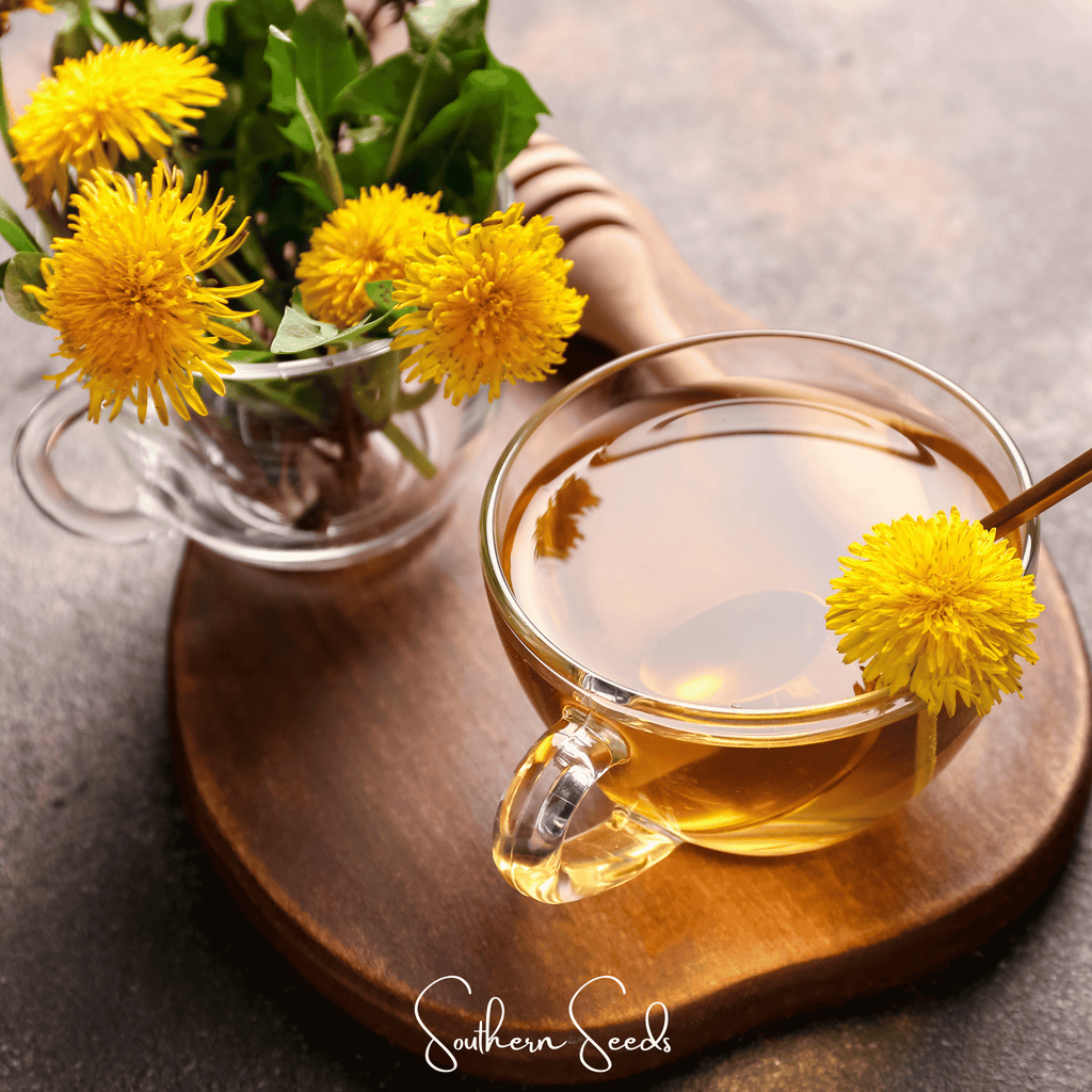 True Dandelion – 50 Seeds