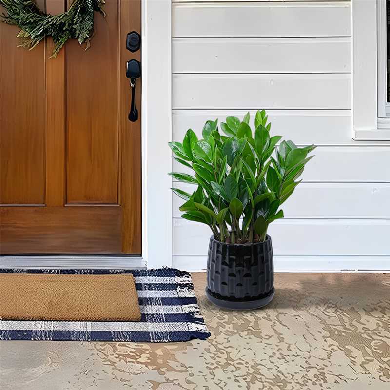 Set of 2 Ceramic Flowerpot, 7' Modern Planter for Patio, Garden, Windowsill - Black