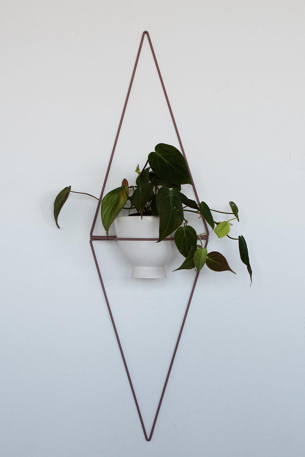 Diamond Eye Wall Planter