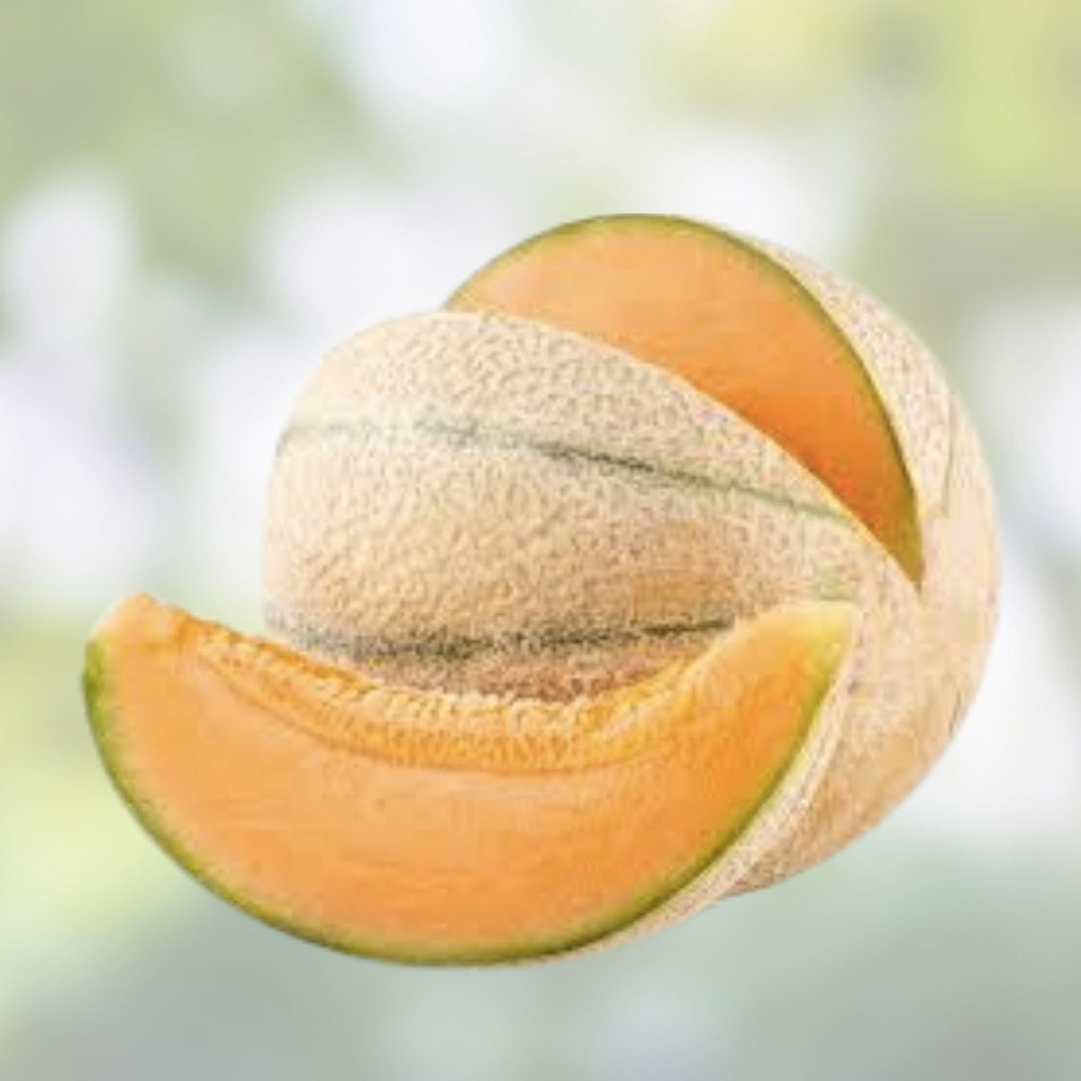 Ambrosia Cantaloupe Melon Seeds, 10 Pack - Sweet Juicy Variety for Home Garden - Cucumis melo