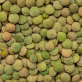 Organic Green Lentils 2 oz – Plant-Based Protein, Versatile Cooking Ingredient, Lens culinaris, Healthy Vegan Food
