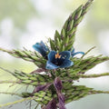 Blue Sapphire Tower Plant Seeds, 10+ Puya alpestris Rare Tropical Succulent, Blue Flowering Perennial Seed Collection