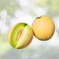 Amarillo Oro Melon Seeds | NON-GMO Heirloom | Fresh Garden Seeds | Cucumis melo
