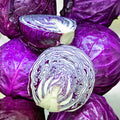Red Acre Heirloom Cabbage Seeds, 100 Non-GMO Brassica oleracea, Organic Vegetable Seeds for Gardening