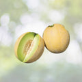 Valencia Late Melon Seeds | NON-GMO Heirloom Variety | Fresh Garden Seeds | Cucumis melo