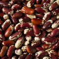 Jacob's Cattle Bean Seeds - 20 High Yielding Phaseolus vulgaris Seeds for Cooking and Gardening