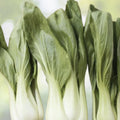 Pak Choi Seeds 200+ Count White Stem Chinese Cabbage Bok Choy Brassica rapa Four Season Vegetable USA