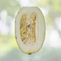 Spaghetti Squash Seeds | NON-GMO Heirloom | Fresh Garden Seeds | Cucurbita pepo
