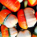 Tiny Turks Turban Pumpkin Seeds (5 Seeds) - Mini Gourd Seeds for Planting - Cucurbita maxima