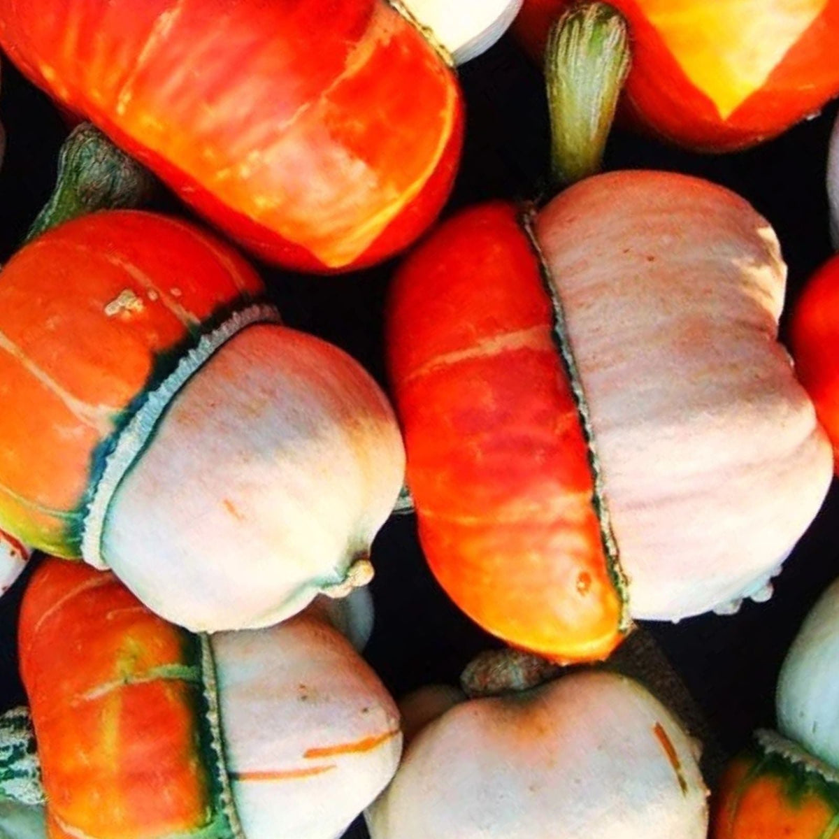 Tiny Turks Turban Pumpkin Seeds (5 Seeds) - Mini Gourd Seeds for Planting - Cucurbita maxima