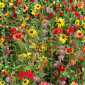 Wildflower Seed Mix 6 oz - Colorful Native Wildflower Blend for Borders and Garden Planting - Ecological Garden Seeds