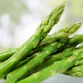 Green Asparagus Seeds 150+ Non-GMO Vegetable Seeds for Planting | Asparagus officinalis Garden Seeds