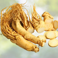 Asian Ginseng Seeds - 10pcs Medicinal Perennial Herb (Panax Ginseng) for Herbal Gardening and Health Benefits