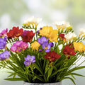 Freesia Flower Bulbs 10 Pack - Fragrant Mixed Colors - Freesia spp. - Garden Bulbs for Spring Blooming